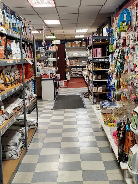 Maser's Grooming and Pet Boutique, inc Picture 5