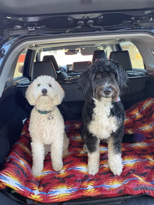 Maser's Grooming and Pet Boutique, inc Picture 4