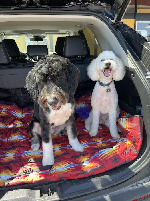 Maser's Grooming and Pet Boutique, inc Picture 3