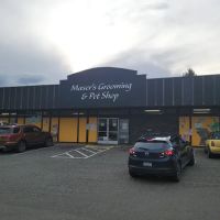 Maser's Grooming and Pet Boutique, inc ico