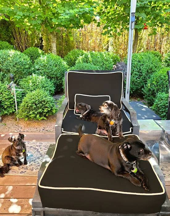 Maser's Grooming and Pet Boutique, inc Picture 10
