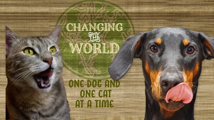 All The Best Pet Care - Kenmore Picture 10