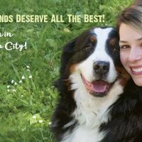 All The Best Pet Care - Kenmore ico