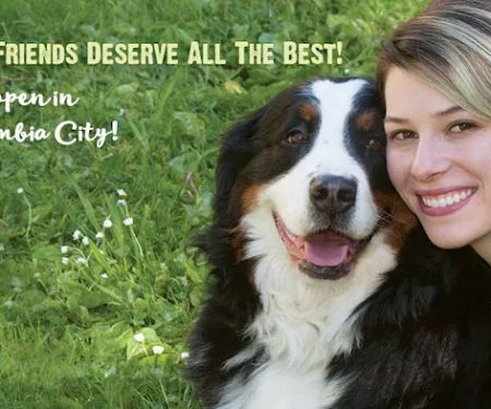 All The Best Pet Care - Kenmore