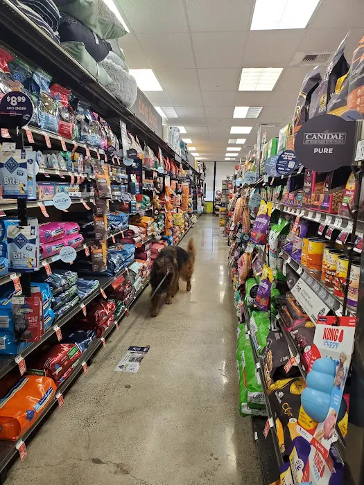 Petco Picture 3