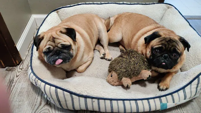 Petco Picture 2