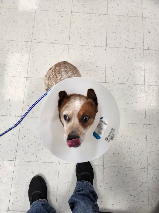 Animal Clinic of Butler, LLC. Picture 2