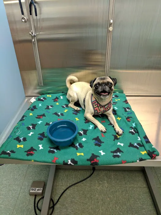 Moraine Grove Veterinary Clinic, Inc Picture 4