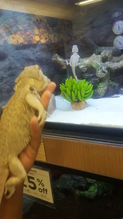 Petco Picture 9
