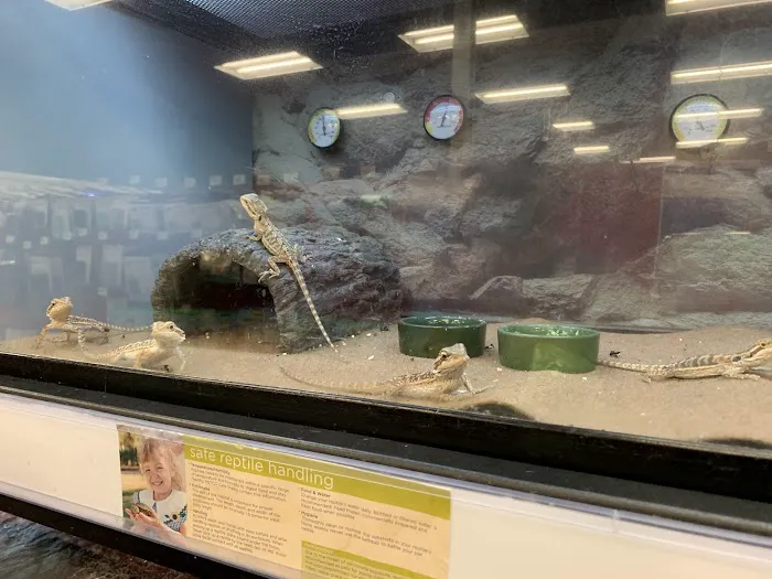 Petco Picture 2