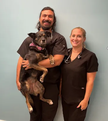 Pittsburgh Premier Veterinary Care and Rehab Picture 9