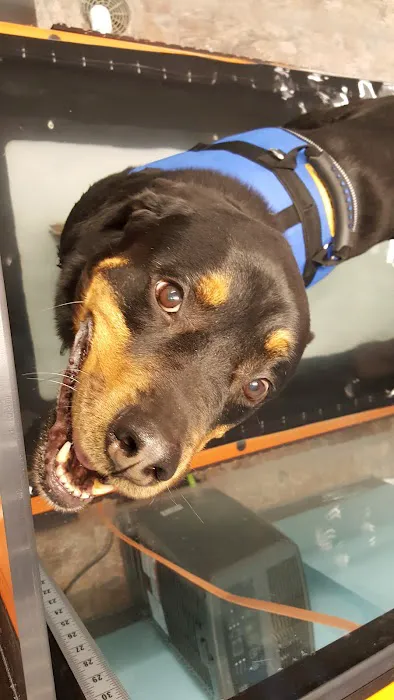 Pittsburgh Premier Veterinary Care and Rehab Picture 6