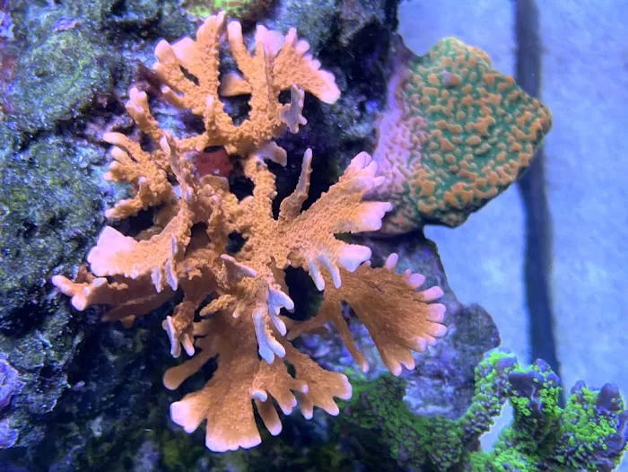 Saltwater City Picture 8