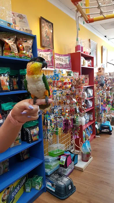 Inca's Secret Parrot & Bird Toys/Boarding Picture 5