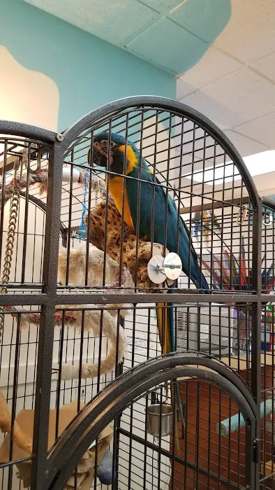 Inca's Secret Parrot & Bird Toys/Boarding Picture 10