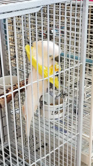 Inca's Secret Parrot & Bird Toys/Boarding Picture 9