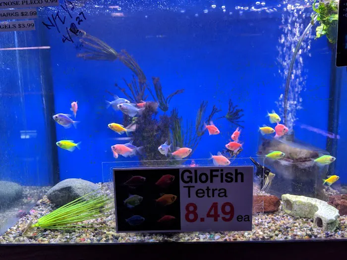 Midway Tropical Fish & Pets Picture 8