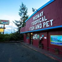 Midway Tropical Fish & Pets ico