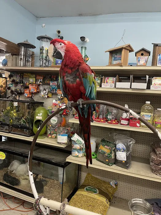 Midway Tropical Fish & Pets Picture 6