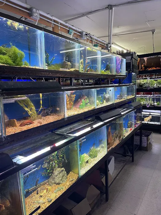 Midway Tropical Fish & Pets Picture 3