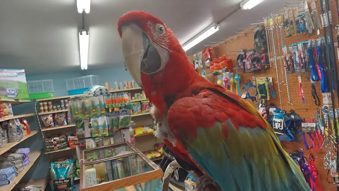 Midway Tropical Fish & Pets Picture 7
