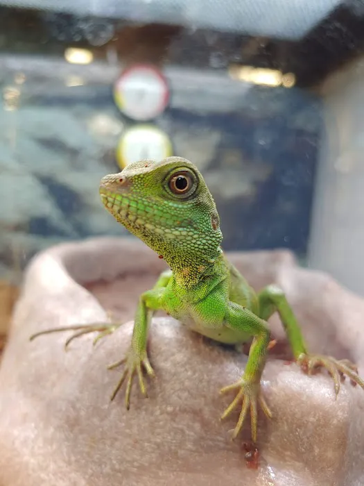 Petco Picture 7