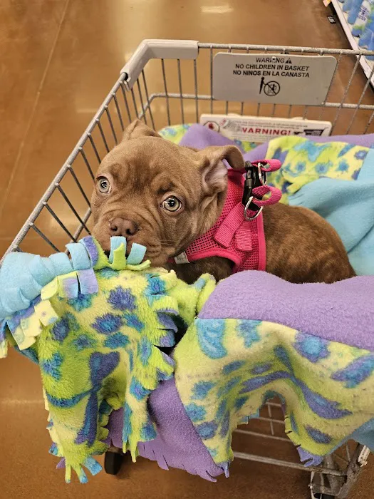 Petco Picture 9