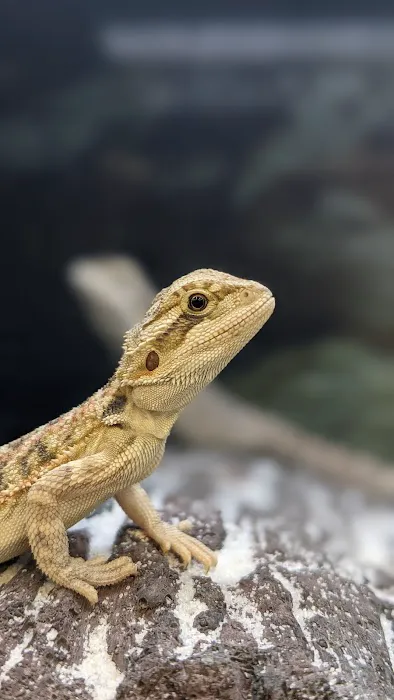 Petco Picture 4
