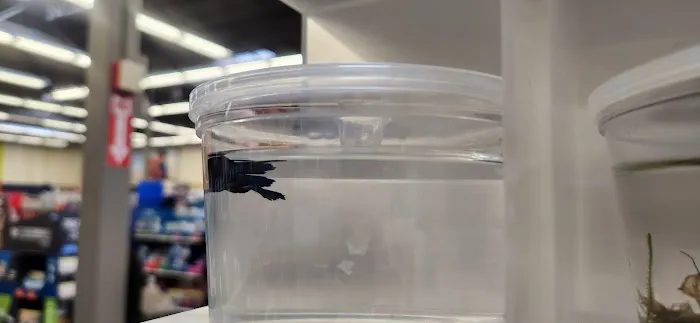 Petco Picture 2