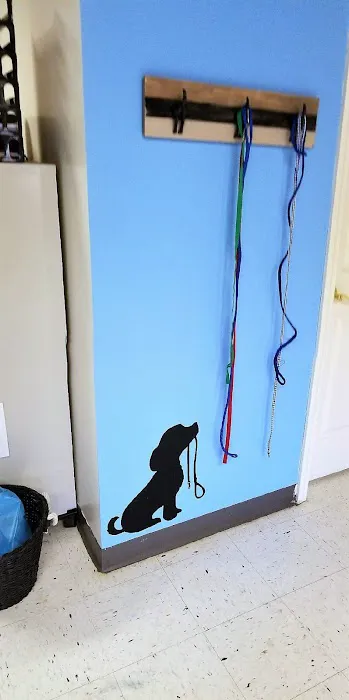 Spay Neuter Clinic: Penn Hills Picture 7