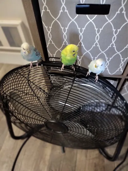 Petco Picture 3