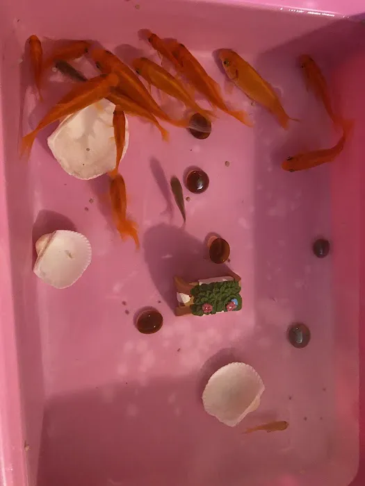 Petco Picture 6