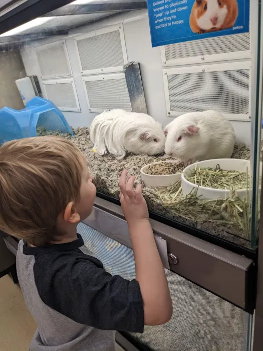 Petco Picture 7