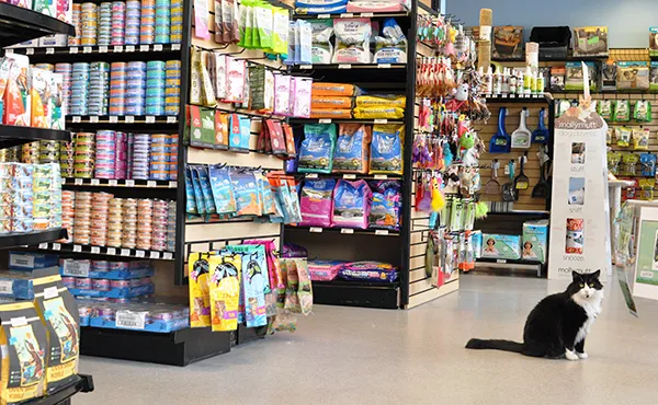 Paws & Fins Pet Shop Picture 6