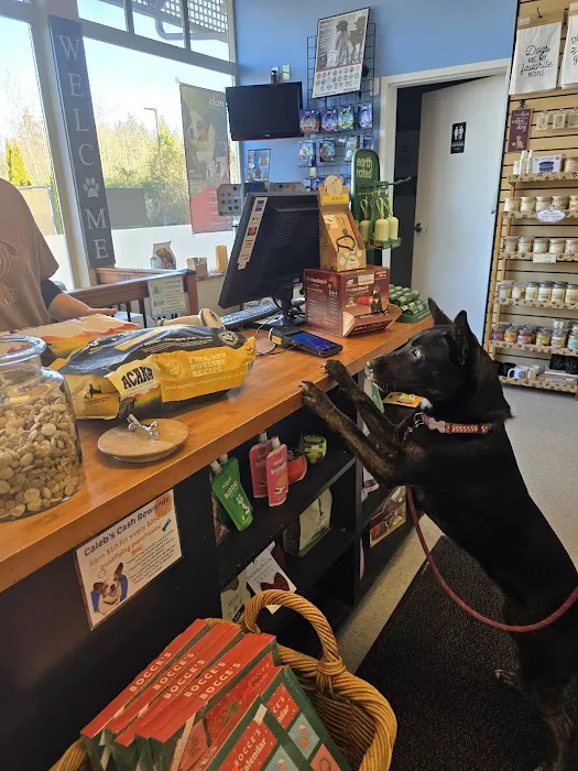Paws & Fins Pet Shop Picture 3