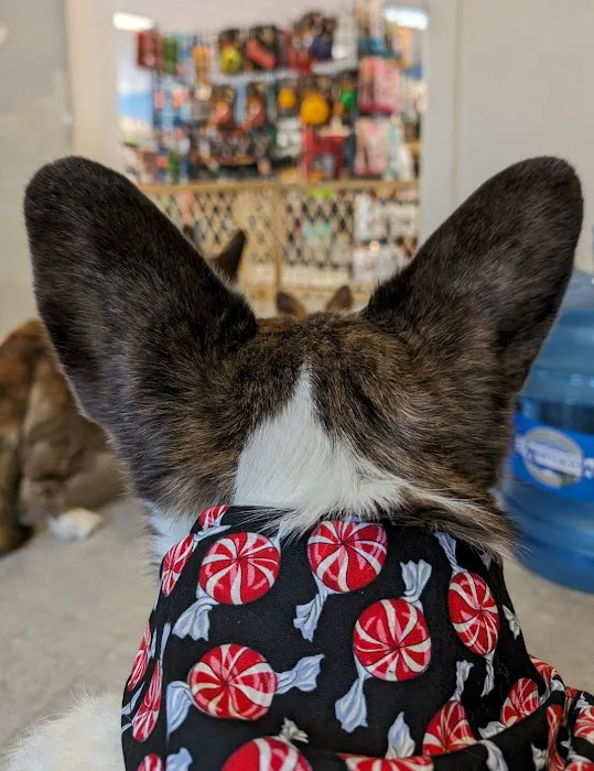 Paws & Fins Pet Shop Picture 1