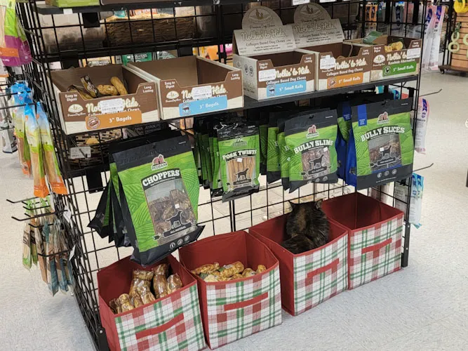 Paws & Fins Pet Shop Picture 8