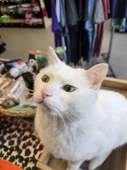 Paws & Fins Pet Shop Picture 10