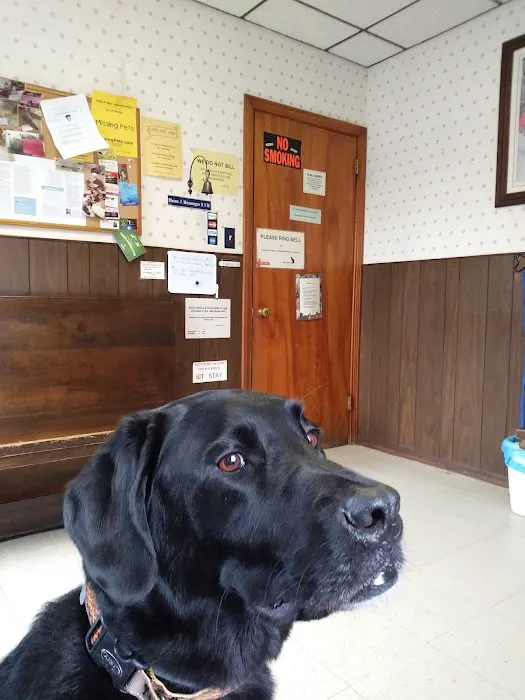 Kernick Animal Hospital Picture 2