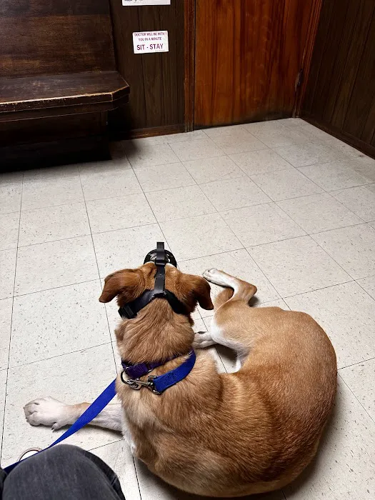Kernick Animal Hospital Picture 9