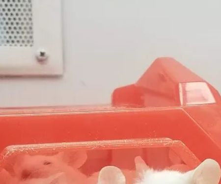 Petco