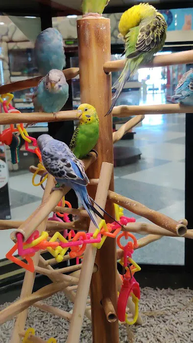 Petco Picture 6