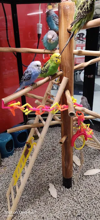 Petco Picture 9