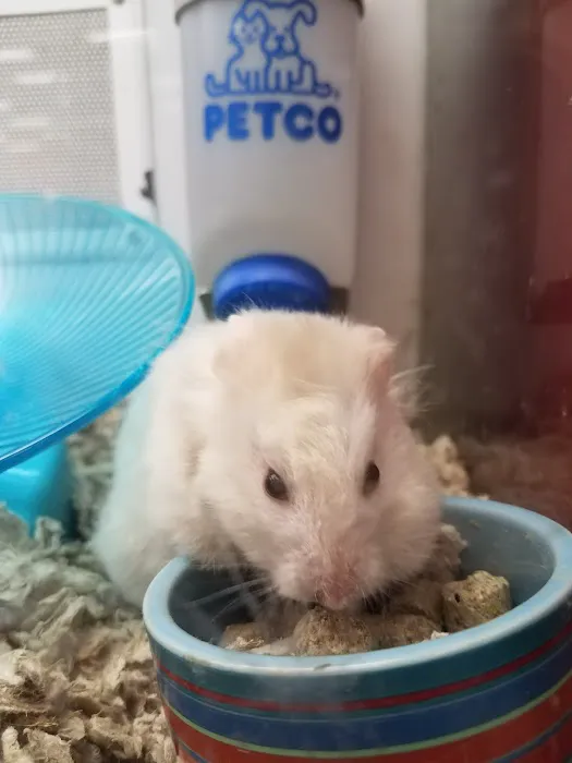 Petco Picture 8