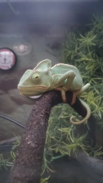 Petco Picture 7