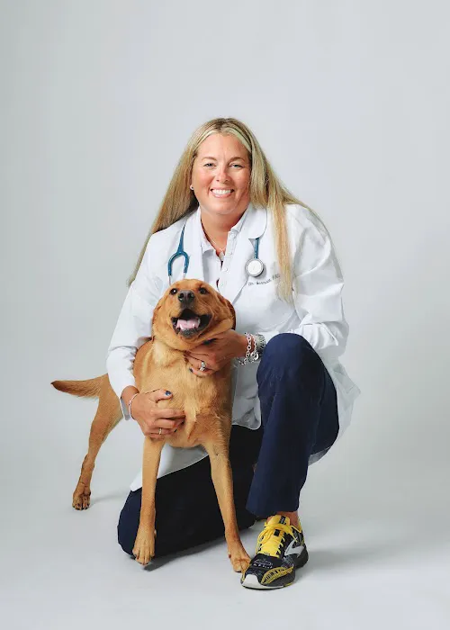 PetVet365 Pet Hospital Pittsburgh/Fox Chapel Picture 1