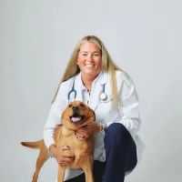 PetVet365 Pet Hospital Pittsburgh/Fox Chapel ico