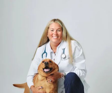 PetVet365 Pet Hospital Pittsburgh/Fox Chapel