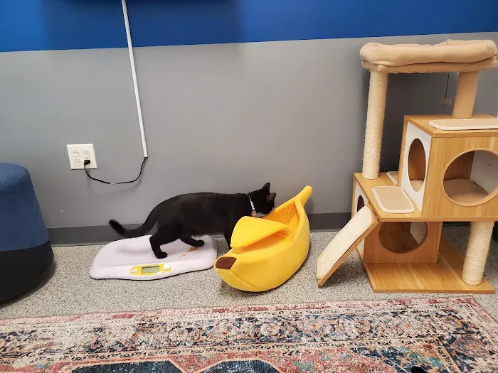PetVet365 Pet Hospital Pittsburgh/Fox Chapel Picture 7