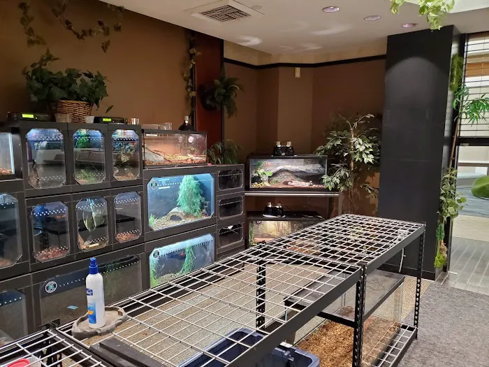 Paradox Reptiles and Exotics Picture 4